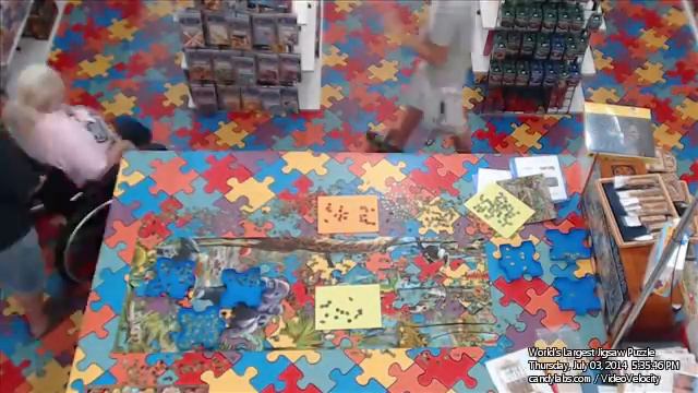 Day 34 July 3, 2014 - "Wildlife" 33600 pc World's Largest Jigsaw Puzzle assembly time lapse video смотреть онлайн