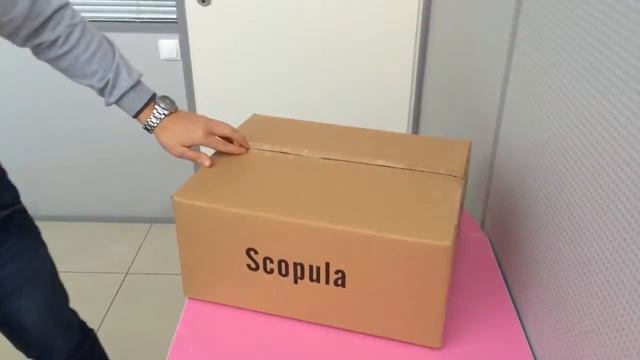 Упаковка Миостимулятора В-333 | Купить на Scopula.ru