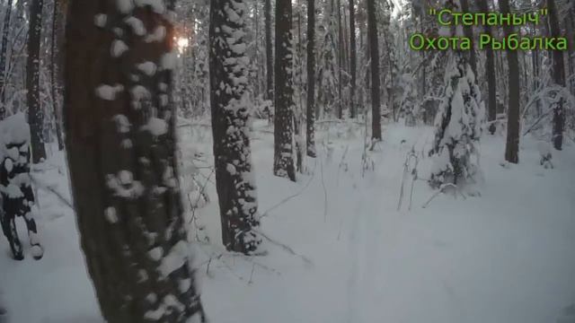 5 заезд (2 день) Большой круг Белка (2 часть) 26 11 19