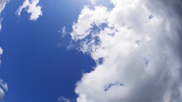 5 ноября - Время кардинальных перемен. Съешьте ложку мёда | Лунный Календарь смотреть онлайн