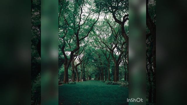 موسيقي مسلسل انحراف (تانجو تو ايفورا) смотреть онлайн