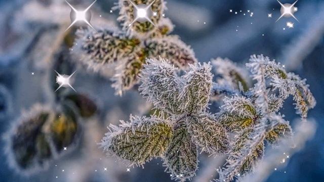 Зимнее поздравление с днём рождения женщине✨С днем Рождения/Зимние поздравления с Днём рождения смотреть онлайн