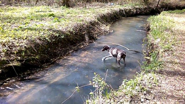Рогнеда прыгает из реки на берег Река Серебрянка, Измайловский парк, 5 мая 2017 смотреть онлайн