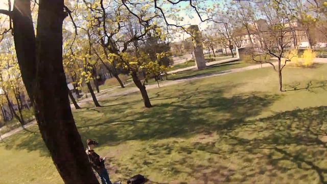 GepRC TinyGo 4K -Exploring Tree branches смотреть онлайн