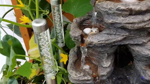 зимний сад . смотреть онлайн