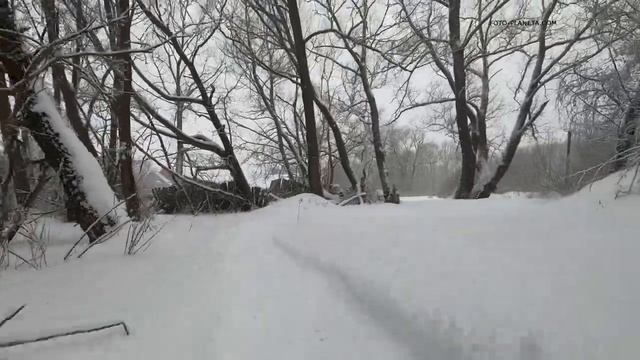 НЕВА МС1-ZS скамейка с двигателем внутреннего сгорания смотреть онлайн