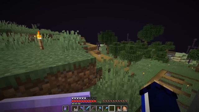 Starting A Village In The End! ▫ The Minecraft Survival Guide (Tutorial Lets Play) [Part 162] смотреть онлайн