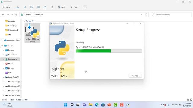 Python Installation смотреть онлайн