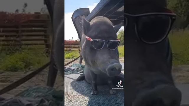 Инстасамка без макияжа?? #shorts смотреть онлайн