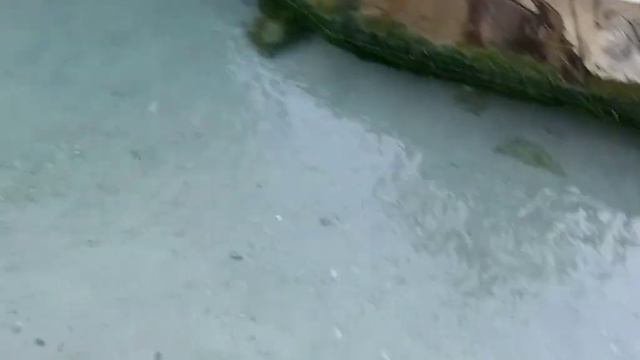 живу на планете земля смотреть онлайн