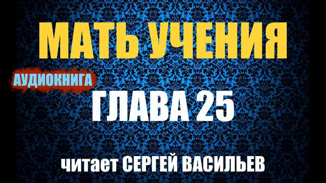 Мать учения - Гл.25 - Непредвиденное (аудиокнига Васильев С.) смотреть онлайн