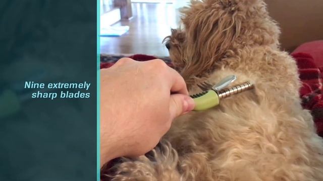 Top 5 Best Dematting Tools for Dog Review in 2023 | Every Medium and Long Hair Dog Dematting Tools смотреть онлайн