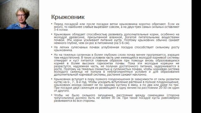 Особенности выращивания плодово-ягодных кустарников в условиях Предбайкалья. Ефимов Игорь смотреть онлайн