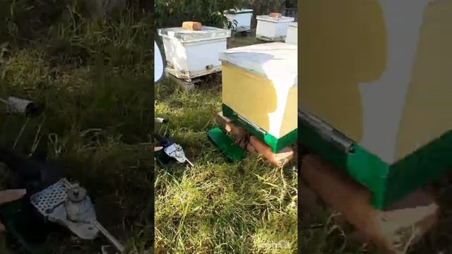 Самодельный сублиматор в действии) смотреть онлайн