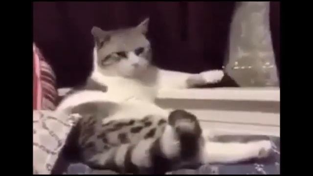 Куда я глядел смотреть онлайн