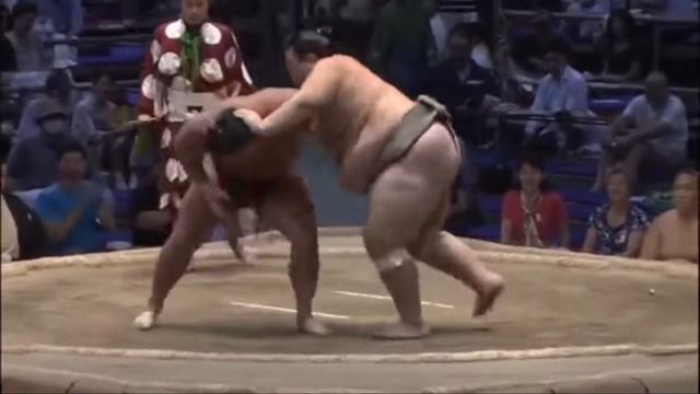 HEAVIEST sumo wrestlers of all time (top 8 - 2022) смотреть онлайн
