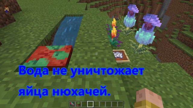МАЙНКРАФТ 1.20.0.23 - НЕБОЛЬШИЕ ИСПРАВЛЕНИЯ ВЕРСИИ 1.20! смотреть онлайн