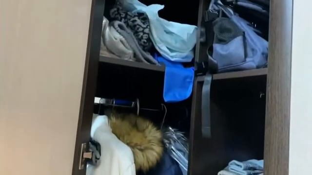 Видеоотзыв о модульной прихожей Диал Иннэс-2 Профиль (композиция 1) смотреть онлайн