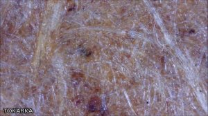 Как сделать карманную электростанцию на основе солнечной батареи