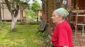 Белочка, милый Ёжик, пила WORX WG305E, флоксы и немного ASMR