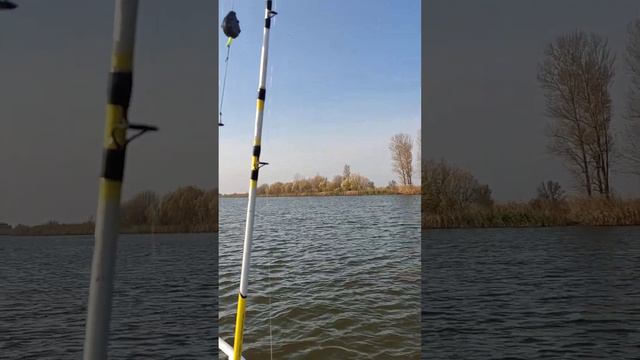 Quintrex 475BR и Yamsha 80 смотреть онлайн