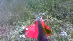 Обзор электрического триммера StarWind ET-1200