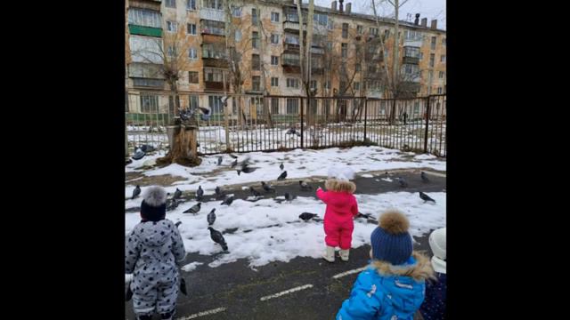 12 11 синичкин день смотреть онлайн