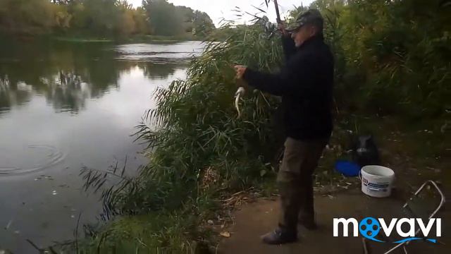 Лисичанск , Северский Донец , рыбалка . смотреть онлайн