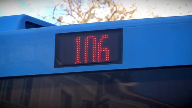 Определены самые популярные пригородные автобусные маршруты смотреть онлайн