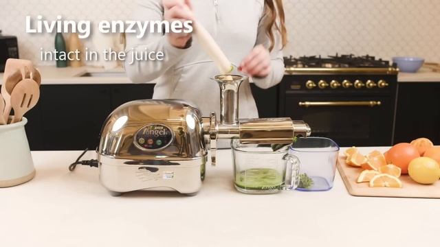 Angel Juicer: 100% Stainless Steel Juicer смотреть онлайн