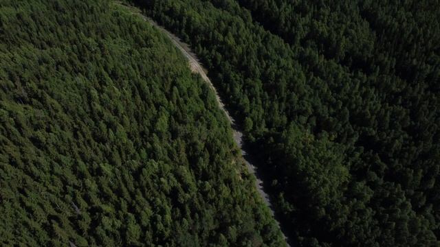 Архангельская область. Плесецкий район. Гора Мяндуха. #DJIMINI2 #РОССИЯСВЕРХУ