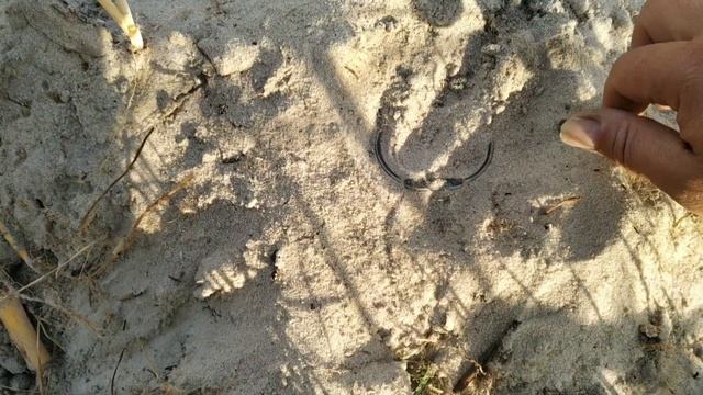 Первый донат нашей Виктории, коп с металлоискателем в кайф! смотреть онлайн