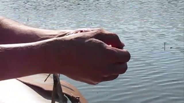 паразиты рыб, миф и реальность от www.huntcenter.ru (fish parasitic worm) смотреть онлайн