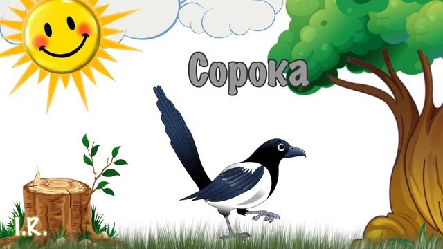 ???Учим название птиц с малышами ??Мультик от 0-3??Обучающие видио+стишки??весёлый урок