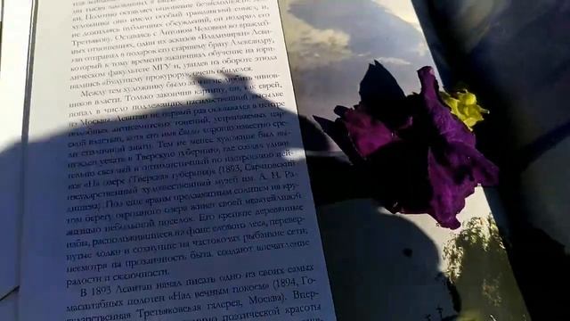 Тема занятия:"Творческая композиция." (Осенний пейзаж, Натюрморт, Сказочный дом, Волшебство.) Часть смотреть онлайн