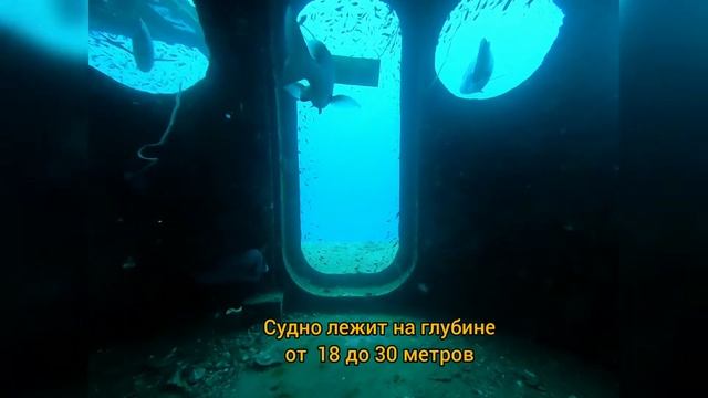 Рэк-дайвинг. Погружаемся на затонувшие корабли в Таиланде, на Кипре и на Мальдивах смотреть онлайн