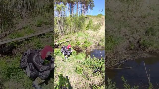 .... тропафилы #enduro #эндуро #ангарск #GR7 #прохват #продубас смотреть онлайн