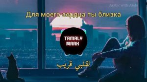 Amr diab - TAMALLY MAAK ❤️ Перевод на русский (Амр Дияб самая красивая песня) عمرو دياب - تملي معاك
