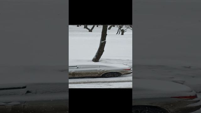 Зима голодные птицы смотреть онлайн