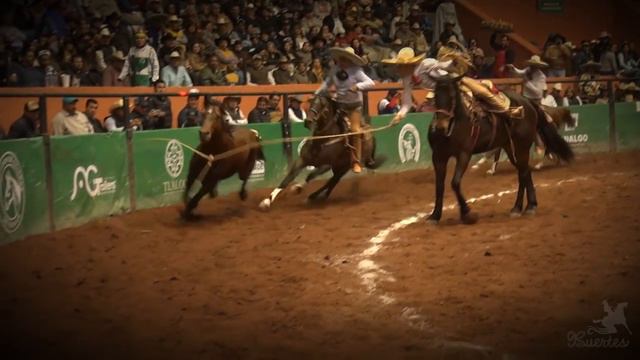 Jose Andres Aceves A. - 3 Manganas A Caballo - Cuartos Pachuca 2017 смотреть онлайн