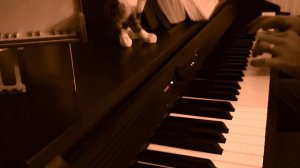 Parasite Eve - Main theme OST (piano)