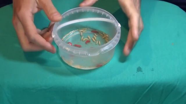 СЕКРЕТ ПЛАВАЮЩЕЙ НАЖИВКИ