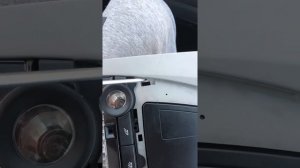 Как снять центральный плафон на БМВ Х3 ф25 кузов