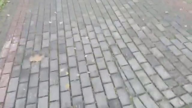 Прогулка по Гарибальди ,,,, смотреть онлайн