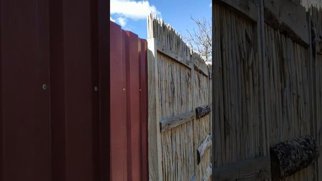 Забор из камыша. Reed fenee . смотреть онлайн