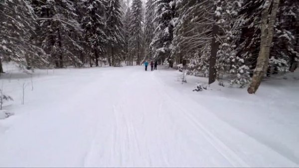 Покатушки на лыжной базе Прикамье. Ficsher RCS vs TISA Race CUP Skate.