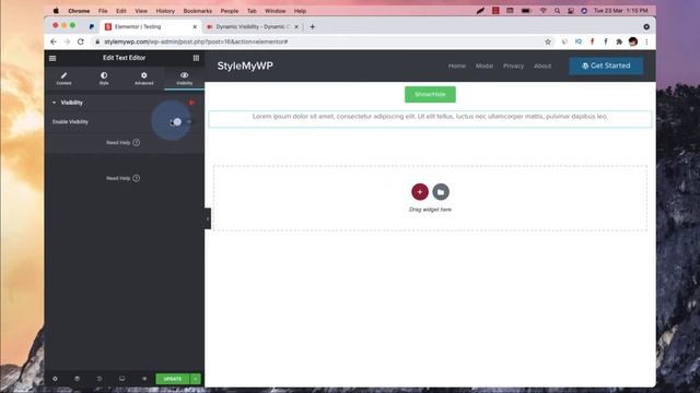 Show, Hide & Toggle Elements on Click Event or Hover In WordPress using Elementor Pro & Dynamic.ooo смотреть онлайн