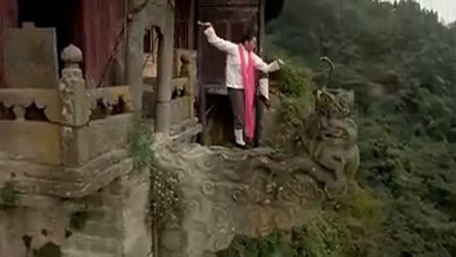 The KUNFU COBRA STYLE смотреть онлайн