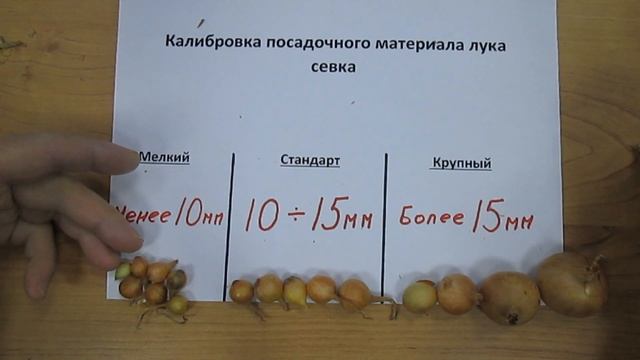 Семена лука репки смотреть онлайн
