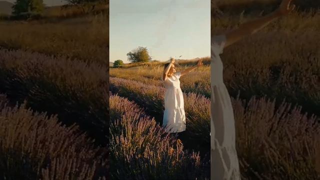 Фотосессия в лавандовом поле смотреть онлайн